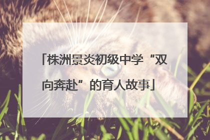 株洲景炎初级中学“双向奔赴”的育人故事