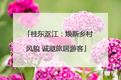 桂东沤江：焕新乡村风貌 诚邀旅居游客