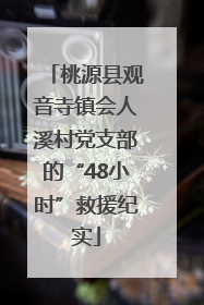 桃源县观音寺镇会人溪村党支部的“48小时”救援纪实