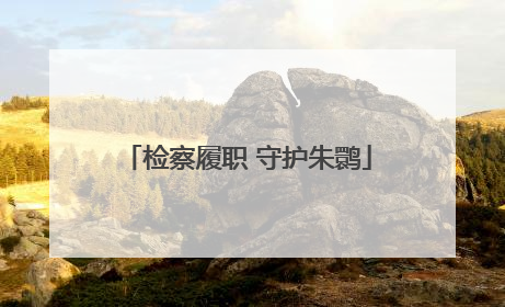检察履职 守护朱鹮