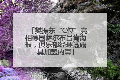樊振东“C位”亮相德国萨尔布吕肯海报，俱乐部经理透露其加盟内幕