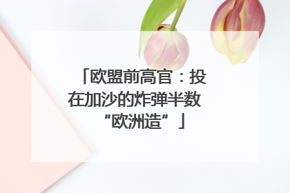 欧盟前高官：投在加沙的炸弹半数“欧洲造”