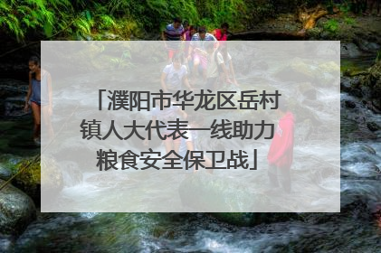 濮阳市华龙区岳村镇人大代表一线助力粮食安全保卫战