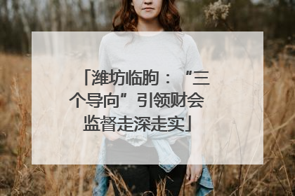潍坊临朐：“三个导向”引领财会监督走深走实