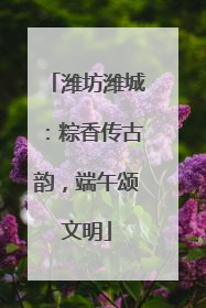 潍坊潍城：粽香传古韵，端午颂文明