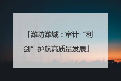 潍坊潍城：审计“利剑”护航高质量发展