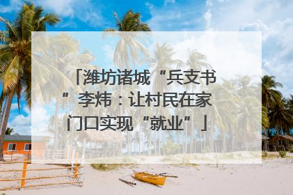 潍坊诸城“兵支书”李炜：让村民在家门口实现“就业”