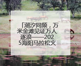 潮汐同频，万米金滩见证万人逐浪——2025海阳马拉松火热开跑