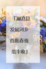 澜沧县发展河乡首批春蚕茧丰收