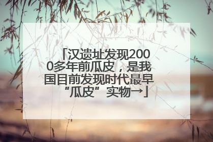 汉遗址发现2000多年前瓜皮，是我国目前发现时代最早“瓜皮”实物→