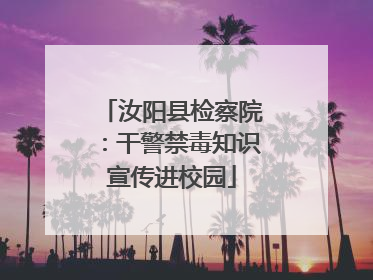 汝阳县检察院：干警禁毒知识宣传进校园