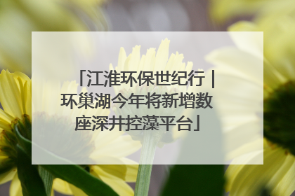 江淮环保世纪行｜环巢湖今年将新增数座深井控藻平台