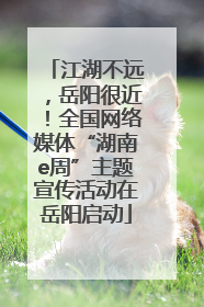 江湖不远，岳阳很近！全国网络媒体“湖南e周”主题宣传活动在岳阳启动