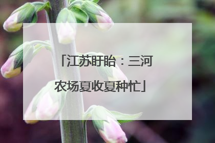 江苏盱眙：三河农场夏收夏种忙