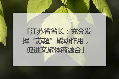 江苏省省长：充分发挥“苏超”撬动作用，促进文旅体商融合