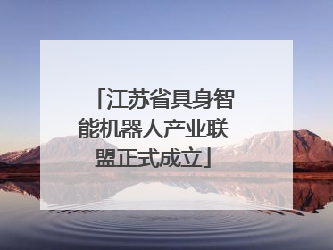 江苏省具身智能机器人产业联盟正式成立