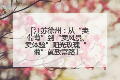 江苏徐州：从“卖葡萄”到“卖风景、卖体验”阳光玫瑰“葡”就致富路