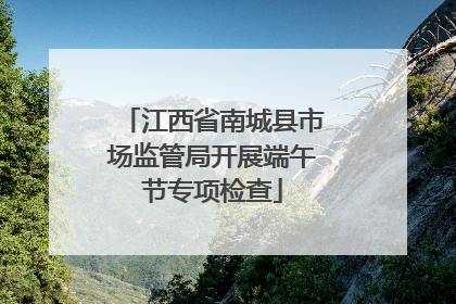 江西省南城县市场监管局开展端午节专项检查