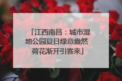 江西南昌：城市湿地公园夏日绿意盎然 荷花渐开引客来