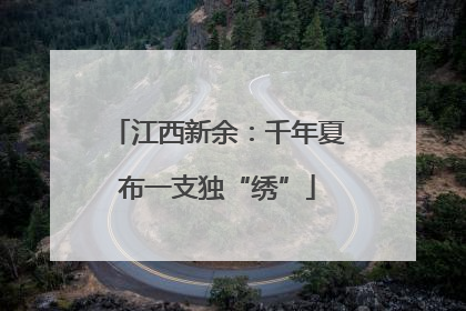 江西新余：千年夏布一支独“绣”