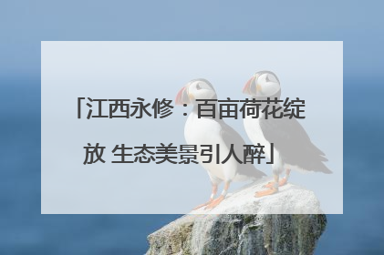 江西永修：百亩荷花绽放 生态美景引人醉