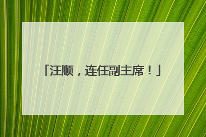 汪顺，连任副主席！
