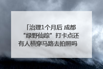 治理1个月后 成都“绿野仙踪”打卡点还有人横穿马路去拍照吗？｜民情瞭望