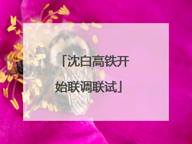 沈白高铁开始联调联试