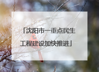 沈阳市一重点民生工程建设加快推进