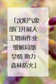 沈阳气象部门开展人工增雨作业 缓解局部旱情 助力森林防火