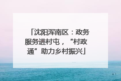 沈阳浑南区：政务服务进村屯，“村政通”助力乡村振兴