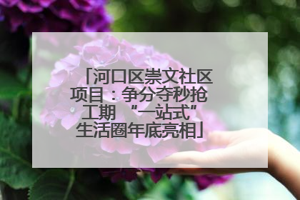 河口区崇文社区项目：争分夺秒抢工期 “一站式”生活圈年底亮相
