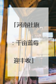 河南社旗：千亩蓝莓迎丰收