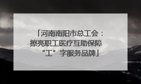河南南阳市总工会：擦亮职工医疗互助保障“工”字服务品牌