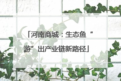河南商城：生态鱼“游”出产业链新路径