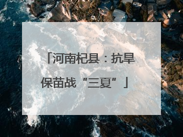 河南杞县：抗旱保苗战“三夏”