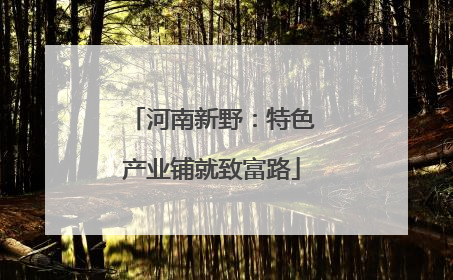 河南新野：特色产业铺就致富路
