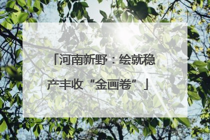 河南新野：绘就稳产丰收“金画卷”