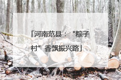 河南范县：“粽子村”香飘振兴路