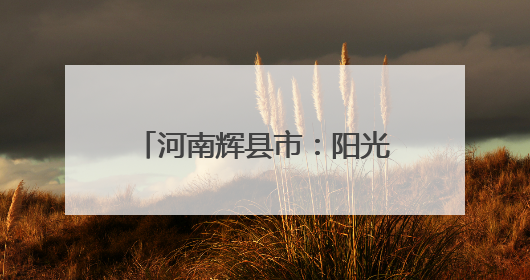 河南辉县市：阳光食堂全品类集采直供 全链条可控可溯