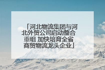 河北物流集团与河北外贸公司启动整合重组 加快培育全省商贸物流龙头企业