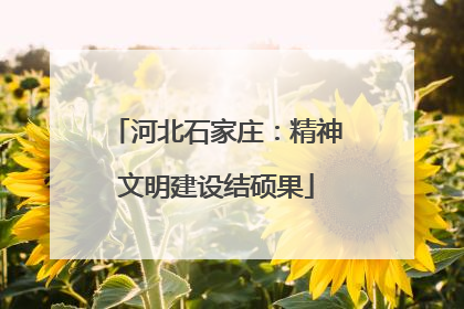 河北石家庄：精神文明建设结硕果