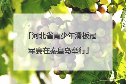 河北省青少年滑板冠军赛在秦皇岛举行