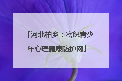 河北柏乡：密织青少年心理健康防护网
