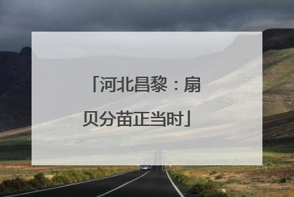 河北昌黎：扇贝分苗正当时