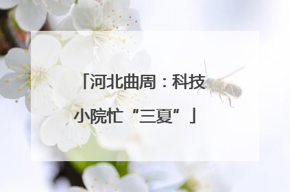 河北曲周：科技小院忙“三夏”