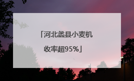 河北蠡县小麦机收率超95%