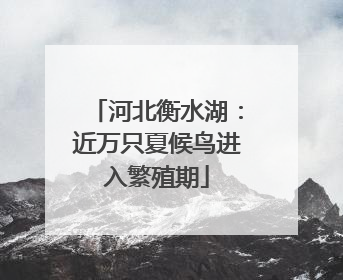 河北衡水湖：近万只夏候鸟进入繁殖期