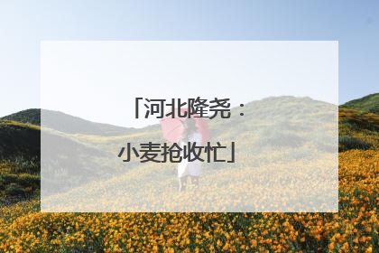 河北隆尧：小麦抢收忙