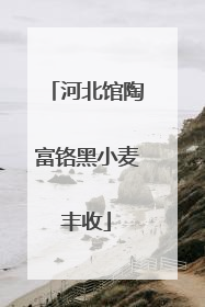 河北馆陶富铬黑小麦丰收
